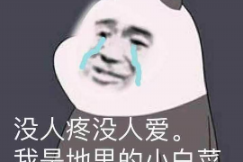 乐平债务清欠服务